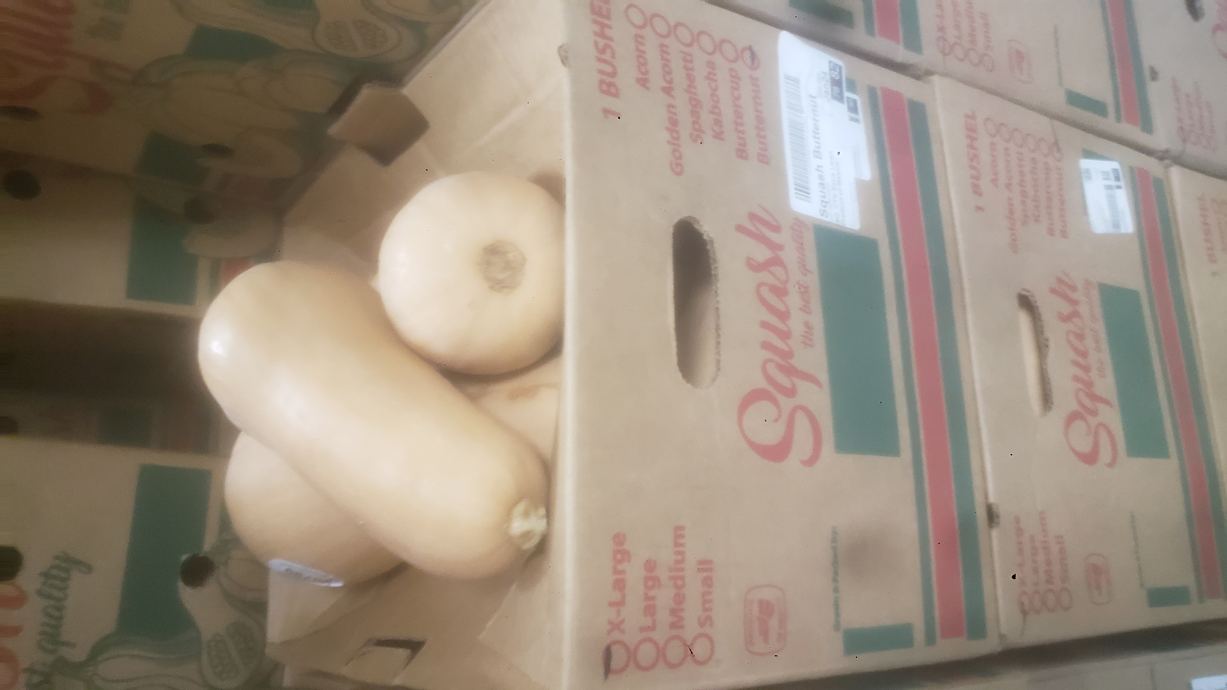 Cardboard boxes with butternut squashes on top.